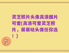 灵芝照片头像高清图片可爱(高清可爱灵芝照片，萌萌哒头像任你选！)