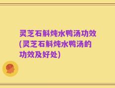 灵芝石斛炖水鸭汤功效(灵芝石斛炖水鸭汤的功效及好处)