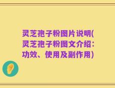 灵芝孢子粉图片说明(灵芝孢子粉图文介绍：功效、使用及副作用)