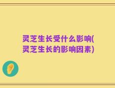 灵芝生长受什么影响(灵芝生长的影响因素)