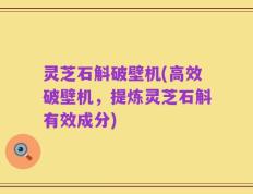 灵芝石斛破壁机(高效破壁机，提炼灵芝石斛有效成分)