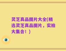 灵芝真品图片大全(精选灵芝真品图片，实拍大集合！)