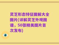灵芝形态特征图解大全图片(详解灵芝外观图谱，50张精美图片首次发布)