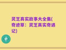 灵芝真实故事大全集(奇迹草：灵芝真实奇遇记)