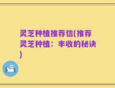 灵芝种植推荐信(推荐灵芝种植：丰收的秘诀)