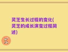 灵芝生长过程的变化(灵芝的成长演变过程简述)