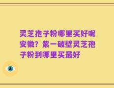 灵芝孢子粉哪里买好呢安徽？紫一破壁灵芝孢子粉到哪里买最好