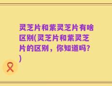 灵芝片和紫灵芝片有啥区别(灵芝片和紫灵芝片的区别，你知道吗？)