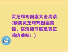 灵芝烤鸡图案大全高清(精美灵芝烤鸡图案集锦，高清细节展现真正鸡肉美味！)