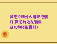 灵芝片和什么搭配泡酒好(灵芝片泡在酒里，这几种搭配最好)
