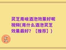 灵芝用啥酒泡效果好呢视频(用什么酒泡灵芝效果最好？【推荐】)