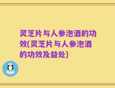 灵芝片与人参泡酒的功效(灵芝片与人参泡酒的功效及益处)