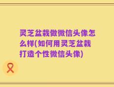 灵芝盆栽做微信头像怎么样(如何用灵芝盆栽打造个性微信头像)