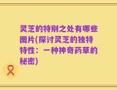 灵芝的特别之处有哪些图片(探讨灵芝的独特特性：一种神奇药草的秘密)