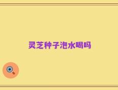 灵芝种子泡水喝吗