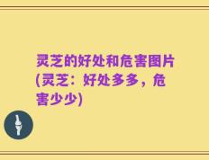 灵芝的好处和危害图片(灵芝：好处多多，危害少少)