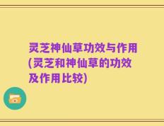 灵芝神仙草功效与作用(灵芝和神仙草的功效及作用比较)
