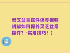灵芝盆景摆件保养视频讲解如何保养灵芝盆景摆件？-实用技巧！)