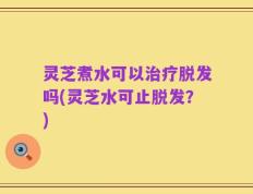 灵芝煮水可以治疗脱发吗(灵芝水可止脱发？)