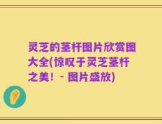 灵芝的茎杆图片欣赏图大全(惊叹于灵芝茎杆之美！- 图片盛放)