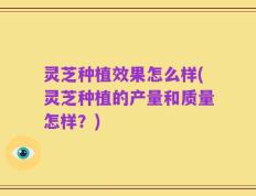 灵芝种植效果怎么样(灵芝种植的产量和质量怎样？)