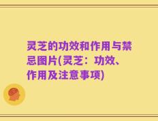 灵芝的功效和作用与禁忌图片(灵芝：功效、作用及注意事项)
