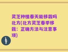 灵芝种植春天能移栽吗北方(北方灵芝春季移栽：正确方法与注意事项)