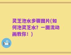 灵芝泡水步骤图片(如何泡灵芝水？一图流动画教你！)