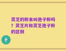 灵芝的粉末叫孢子粉吗？灵芝片和灵芝孢子粉的区别