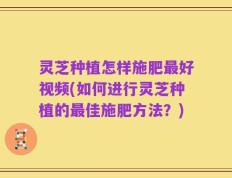 灵芝种植怎样施肥最好视频(如何进行灵芝种植的最佳施肥方法？)
