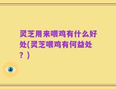 灵芝用来喂鸡有什么好处(灵芝喂鸡有何益处？)