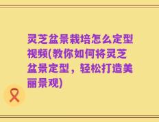 灵芝盆景栽培怎么定型视频(教你如何将灵芝盆景定型，轻松打造美丽景观)
