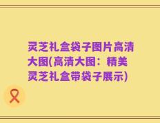 灵芝礼盒袋子图片高清大图(高清大图：精美灵芝礼盒带袋子展示)
