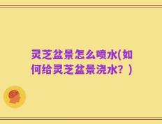 灵芝盆景怎么喷水(如何给灵芝盆景浇水？)