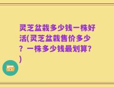 灵芝盆栽多少钱一株好活(灵芝盆栽售价多少？一株多少钱最划算？)