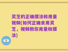 灵芝的正确摆法和用量视频(如何正确食用灵芝，视频教你用量和摆法)