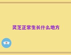 灵芝正常生长什么地方