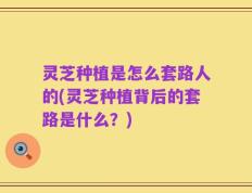灵芝种植是怎么套路人的(灵芝种植背后的套路是什么？)