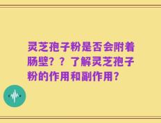 灵芝孢子粉是否会附着肠壁？？了解灵芝孢子粉的作用和副作用？
