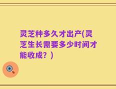 灵芝种多久才出产(灵芝生长需要多少时间才能收成？)