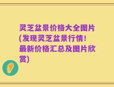 灵芝盆景价格大全图片(发现灵芝盆景行情！最新价格汇总及图片欣赏)