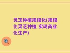 灵芝种植规模化(规模化灵芝种植 实现商业化生产)