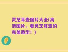 灵芝耳壶图片大全(高清图片，看灵芝耳壶的完美造型！)