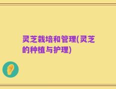 灵芝栽培和管理(灵芝的种植与护理)