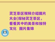 灵芝景区视频介绍图片大全(探秘灵芝景区，看看其中的美景和独特文化  图片集锦