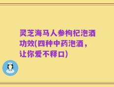 灵芝海马人参枸杞泡酒功效(四种中药泡酒，让你爱不释口)