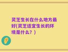 灵芝生长在什么地方最好(灵芝适宜生长的环境是什么？)