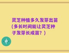 灵芝种植多久发芽出苗(多长时间能让灵芝种子发芽长成苗？)