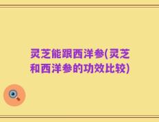 灵芝能跟西洋参(灵芝和西洋参的功效比较)