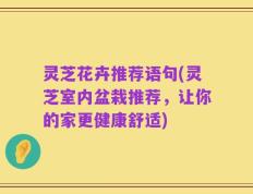 灵芝花卉推荐语句(灵芝室内盆栽推荐，让你的家更健康舒适)